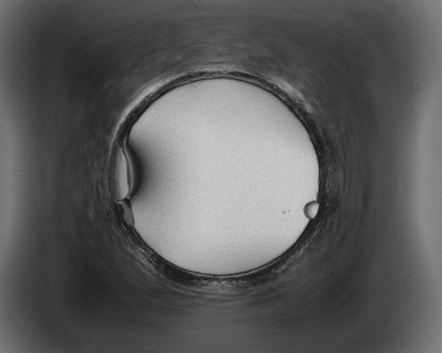 X0000083001167200703020858