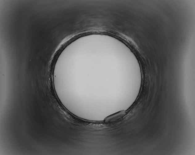 X0000083001168200703020858