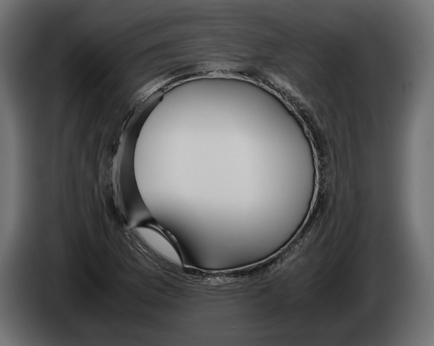 X0000083001169200703020858