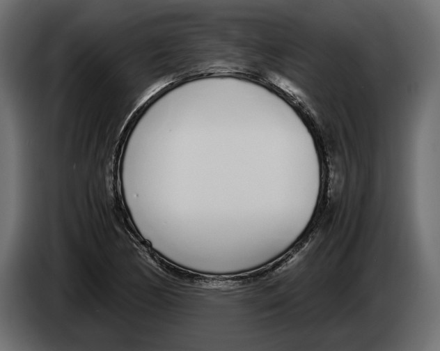 X0000083001170200703020858