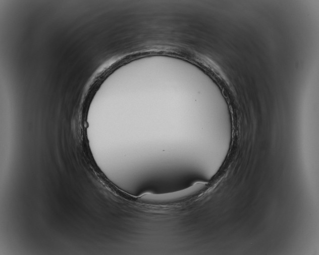 X0000083001172200703020858