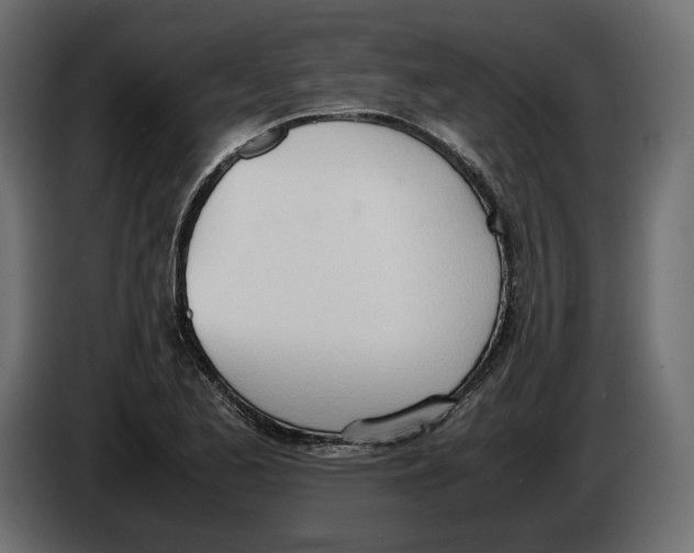 X0000083001173200703020858