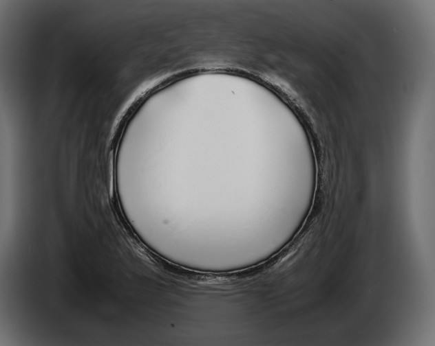 X0000083001175200703020858