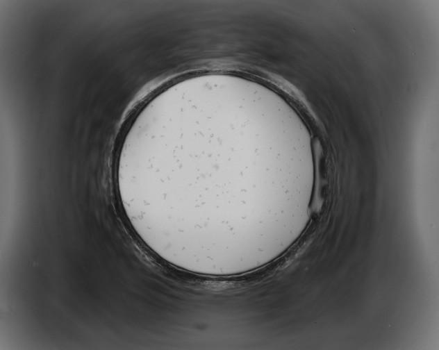 X0000083001176200703020858