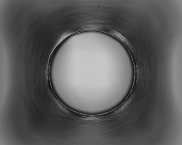 X0000083001178200703020858