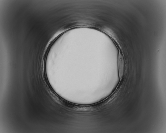 X0000083001179200703020858