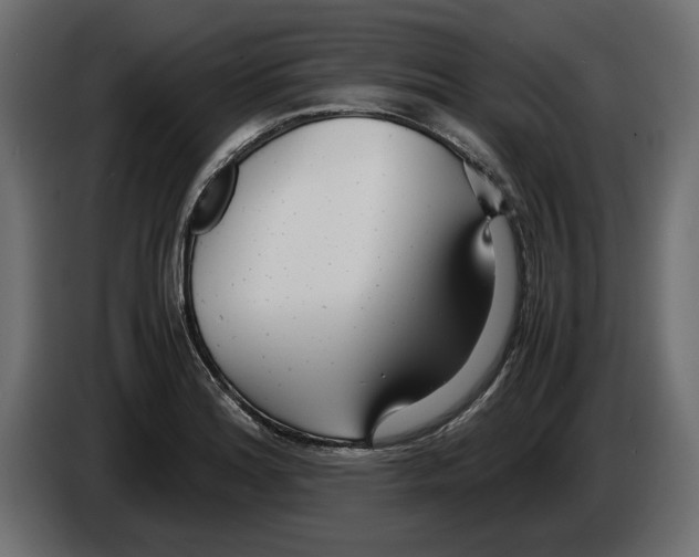 X0000083001180200703020858