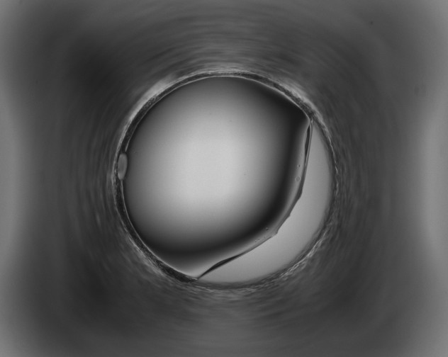 X0000083001181200703020858