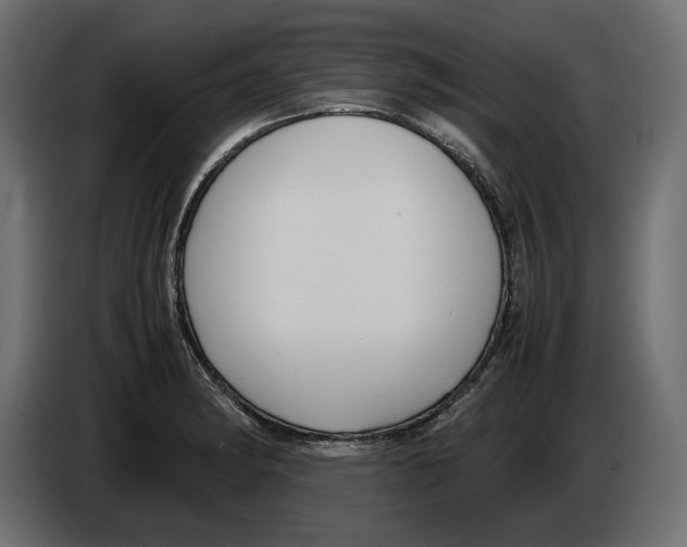 X0000083001182200703020858