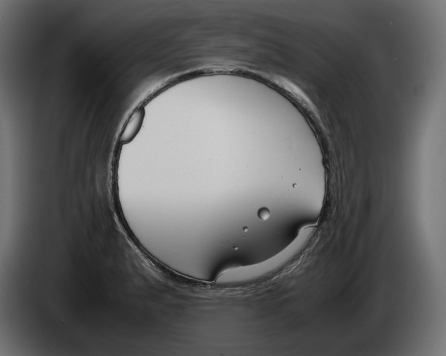 X0000083001183200703020858