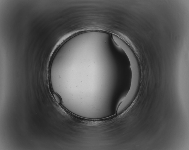 X0000083001184200703020858