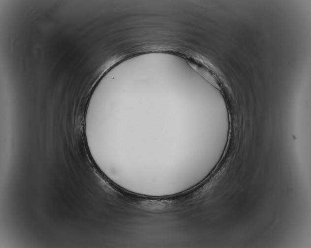 X0000083001185200703020858