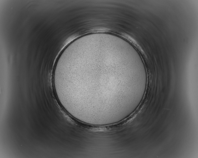 X0000083001186200703020858