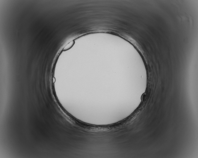 X0000083001187200703020858