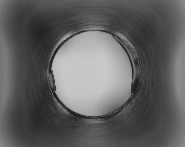 X0000083001189200703020858