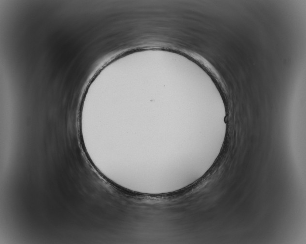 X0000083001191200703020858