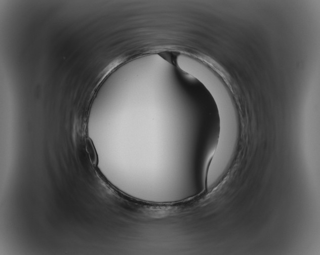 X0000083001193200703020858