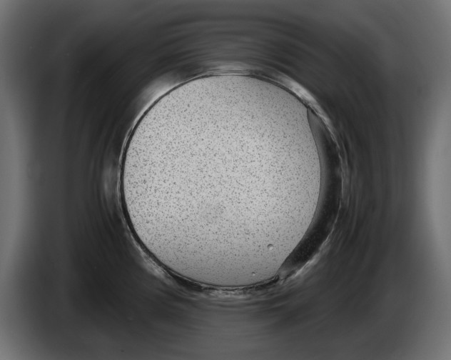 X0000083001194200703020858