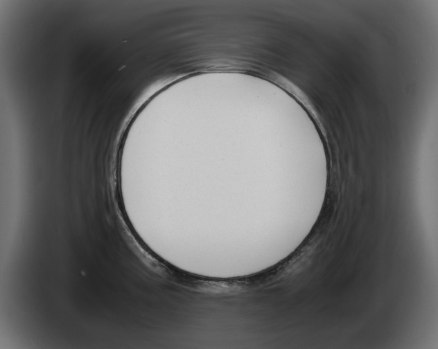 X0000083001195200703020858