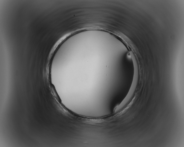 X0000083001196200703020858