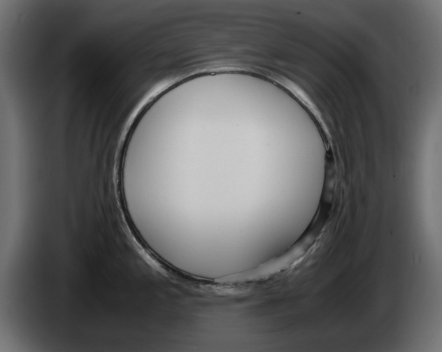 X0000083001197200703020858