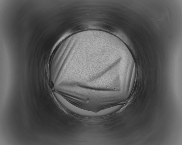 X0000083001198200703020858