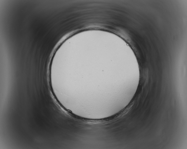 X0000083001199200703020858