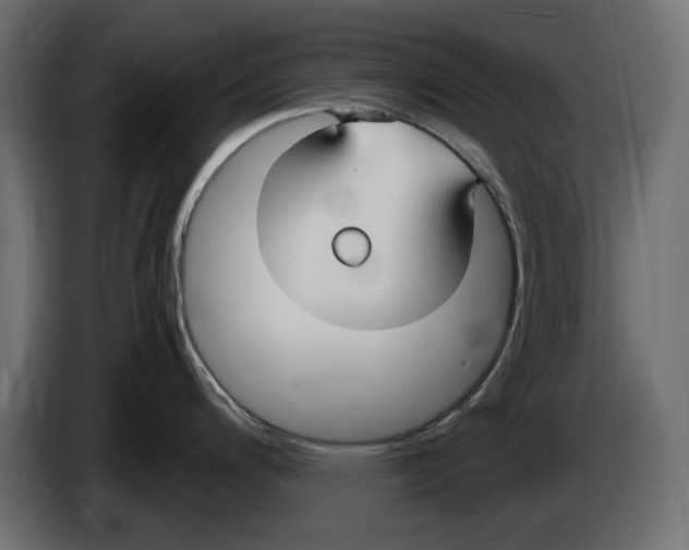 X0000083001200200703020858