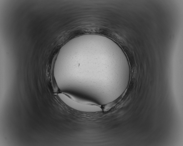 X0000083001202200703020857