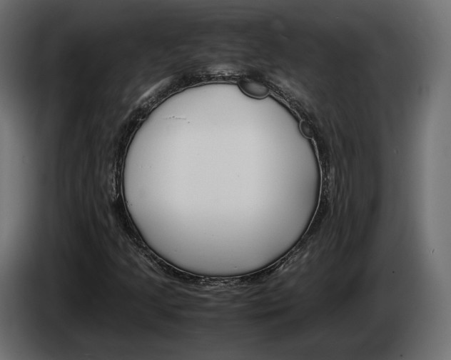 X0000083001205200703020857