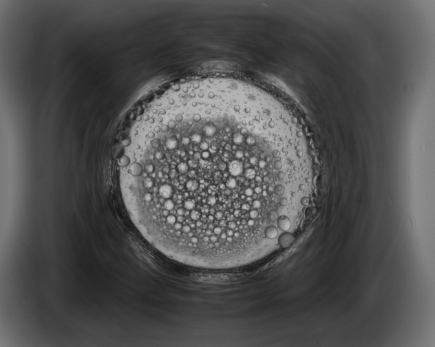 X0000083001211200703020857