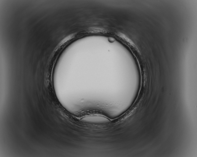 X0000083001213200703020857