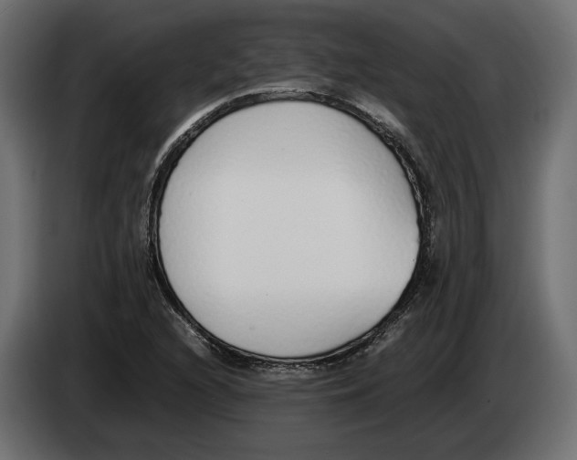 X0000083001216200703020857