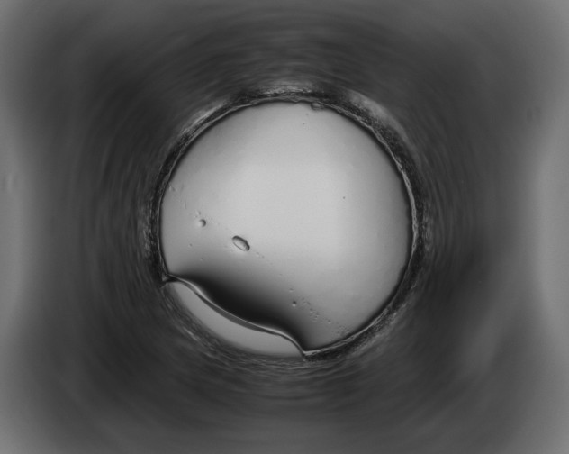 X0000083001217200703020857