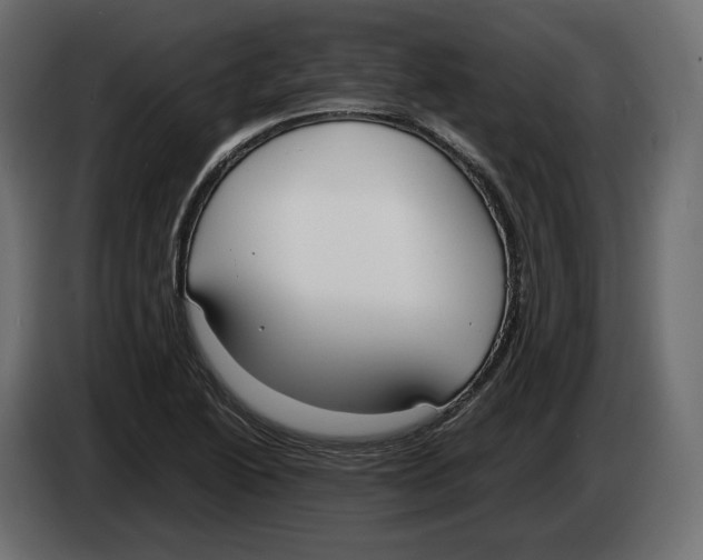 X0000083001222200703020857