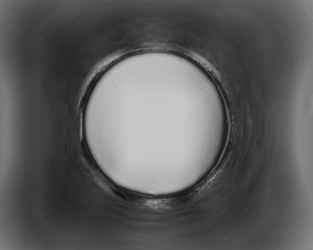 X0000083001223200703020857