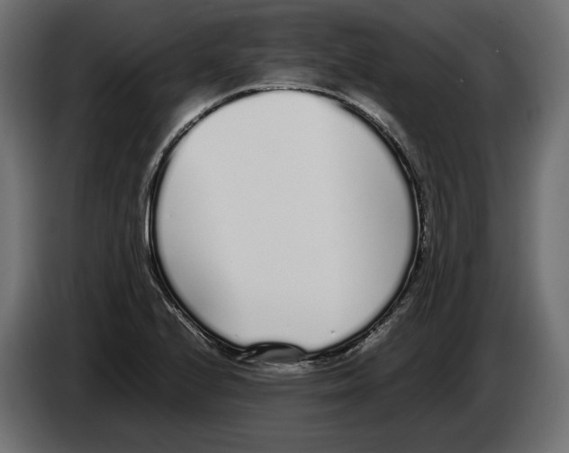 X0000083001224200703020857