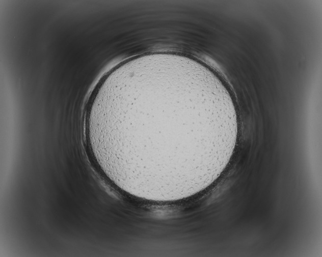 X0000083001227200703020857