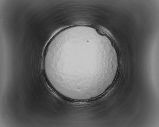 X0000083001236200703020857