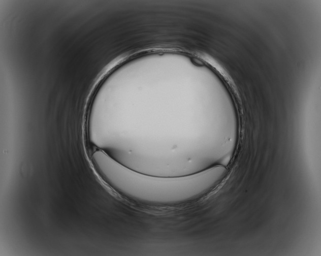 X0000083001237200703020857