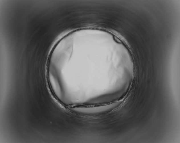 X0000083001239200703020858