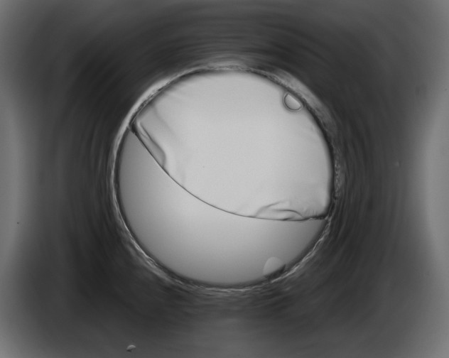 X0000083001240200703020858