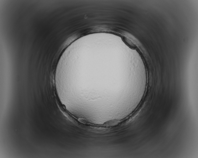 X0000083001241200703020858