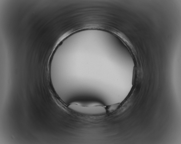 X0000083001242200703020858