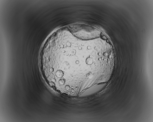 X0000083001243200703020858