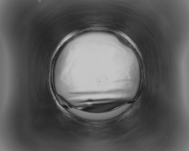 X0000083001245200703020858