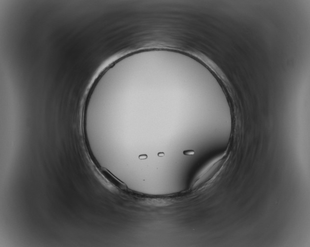 X0000083001246200703020858