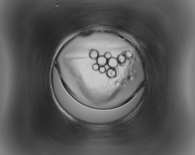 X0000083001247200703020858