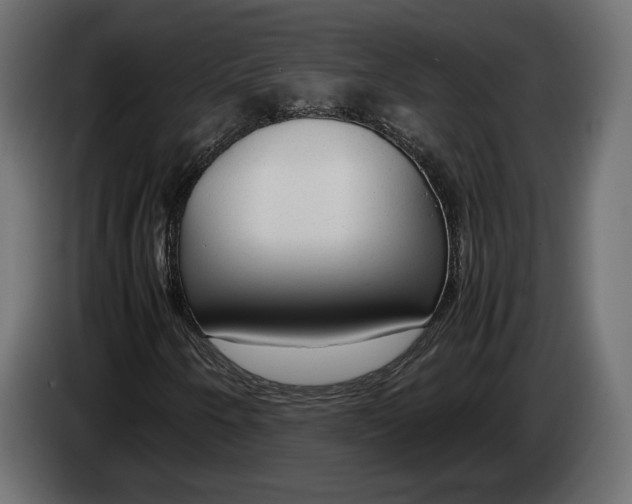 X0000083001250200703020857