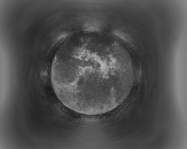 X0000083001254200703020857